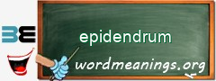 WordMeaning blackboard for epidendrum